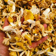 Fungi Ji You Jun 鸡油菌, Cantharellus Cibarius Mushroom For Soup Food-Health Wisdom™