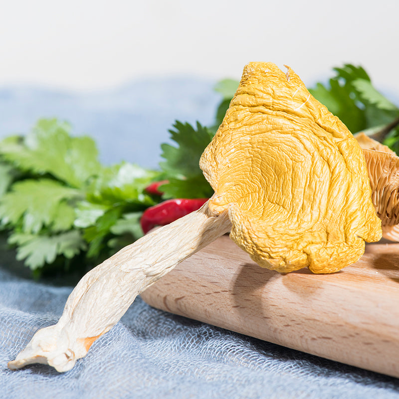 Fungi Ji You Jun 鸡油菌, Cantharellus Cibarius Mushroom For Soup Food-Health Wisdom™