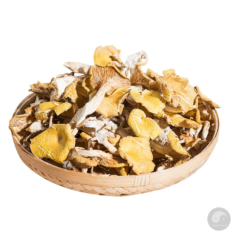 Fungi Ji You Jun 鸡油菌, Cantharellus Cibarius Mushroom For Soup Food-Health Wisdom™