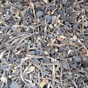 Fungi Ji Zong Jun 鸡枞菌, Collybia Albuminosa Mushroom For Soup-Health Wisdom™
