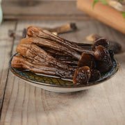 Fungi Ji Zong Jun 鸡枞菌, Collybia Albuminosa Mushroom For Soup-Health Wisdom™