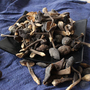 Fungi Ji Zong Jun 鸡枞菌, Collybia Albuminosa Mushroom For Soup-Health Wisdom™