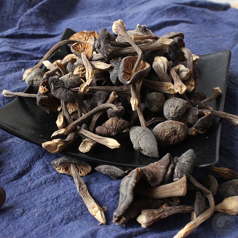 Fungi Ji Zong Jun 鸡枞菌, Collybia Albuminosa Mushroom For Soup-Health Wisdom™