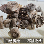 Fungi Lu Rong Gu 鹿茸菇, Lyophyllum Decastes Mushroom For Soup-Health Wisdom™