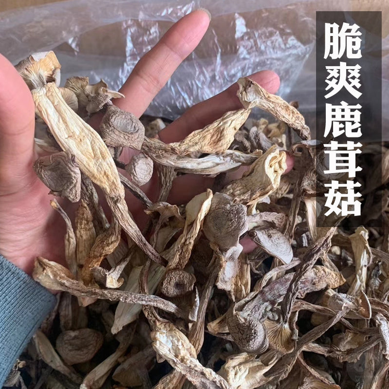 Fungi Lu Rong Gu 鹿茸菇, Lyophyllum Decastes Mushroom For Soup-Health Wisdom™
