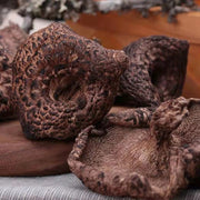 Fungus Hei Hu Zhang Jun 黑虎掌菌, Dried Sarcodon Imbricatus Mushroom For Soup Food-Health Wisdom™