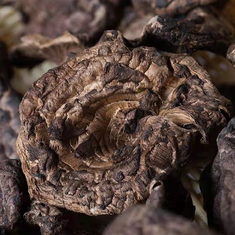 Fungus Hei Hu Zhang Jun 黑虎掌菌, Dried Sarcodon Imbricatus Mushroom For Soup Food-Health Wisdom™