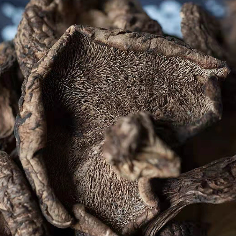 Fungus Hei Hu Zhang Jun 黑虎掌菌, Dried Sarcodon Imbricatus Mushroom For Soup Food-Health Wisdom™