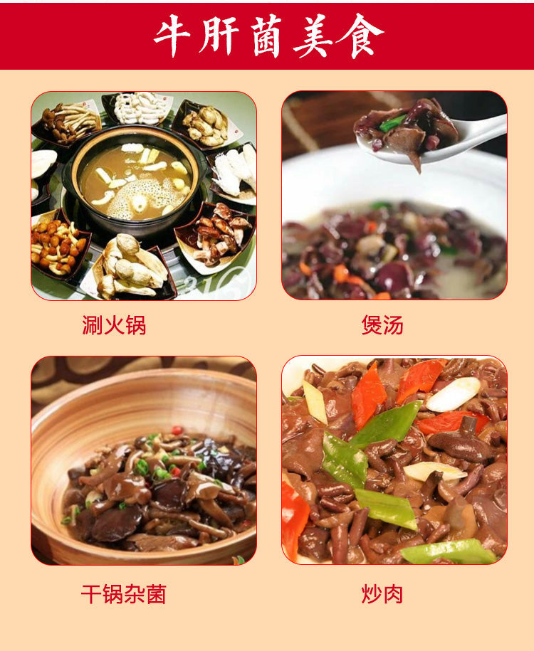 Fungus Hong Ru Niu Gan Jun 红乳牛肝菌, Dried Red Boletus Mushroom For Soup Food-Health Wisdom™