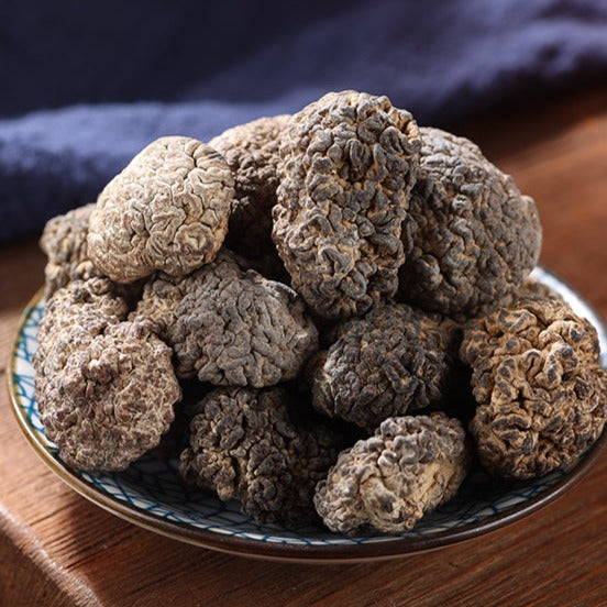 Fungus Hou Nao Jun 猴脑菌, Dried Trametes Versicolor Mushroom, He Tao Jun 核桃菌-Health Wisdom™