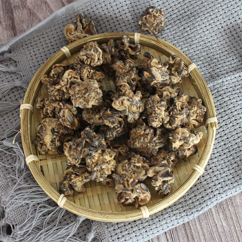 Fungus Hou Nao Jun 猴脑菌, Dried Trametes Versicolor Mushroom, He Tao Jun 核桃菌-Health Wisdom™