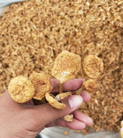 Fungus Hua Zi 滑子菇, Dried Pholiota Nameko Mushroom For Food Soup-Health Wisdom™