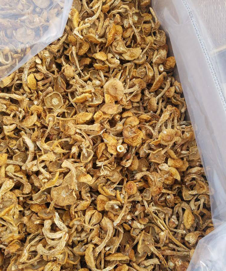Fungus Hua Zi 滑子菇, Dried Pholiota Nameko Mushroom For Food Soup-Health Wisdom™