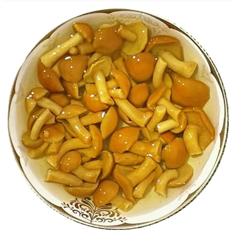 Fungus Hua Zi 滑子菇, Dried Pholiota Nameko Mushroom For Food Soup-Health Wisdom™