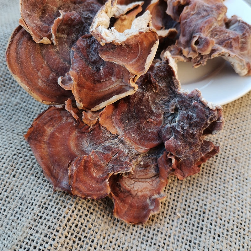 Fungus Yu Er Jun 榆耳菌, Dried Gloeostereum Incarnatum Mushroom For Food Soup-Health Wisdom™