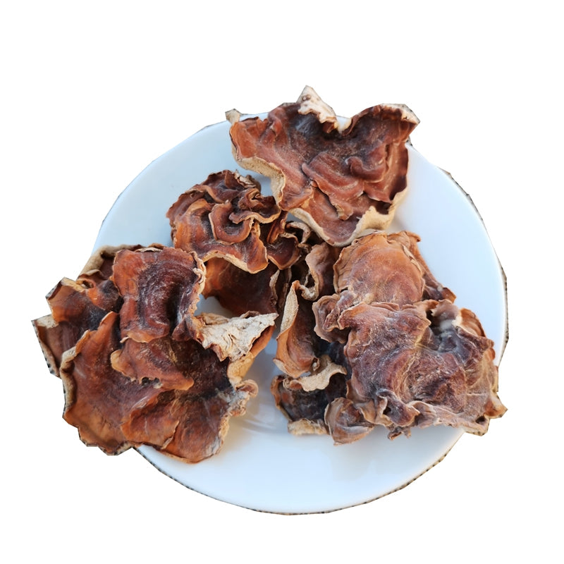 Fungus Yu Er Jun 榆耳菌, Dried Gloeostereum Incarnatum Mushroom For Food Soup-Health Wisdom™