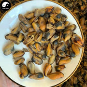 Gan Dan Cai 干淡菜, Dried Mussels Meat, Mytilus edulis Yi Bei For Seafood Soup-Health Wisdom™