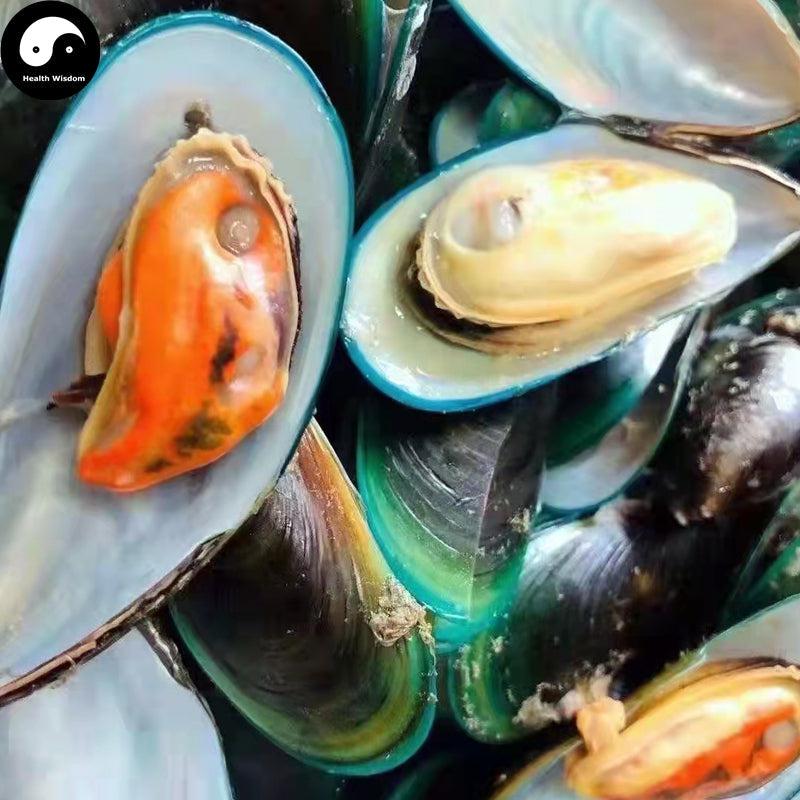Gan Dan Cai 干淡菜, Dried Mussels Meat, Mytilus edulis Yi Bei For Seafood Soup-Health Wisdom™