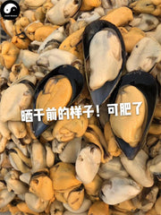 Gan Dan Cai 干淡菜, Dried Mussels Meat, Mytilus edulis Yi Bei For Seafood Soup-Health Wisdom™