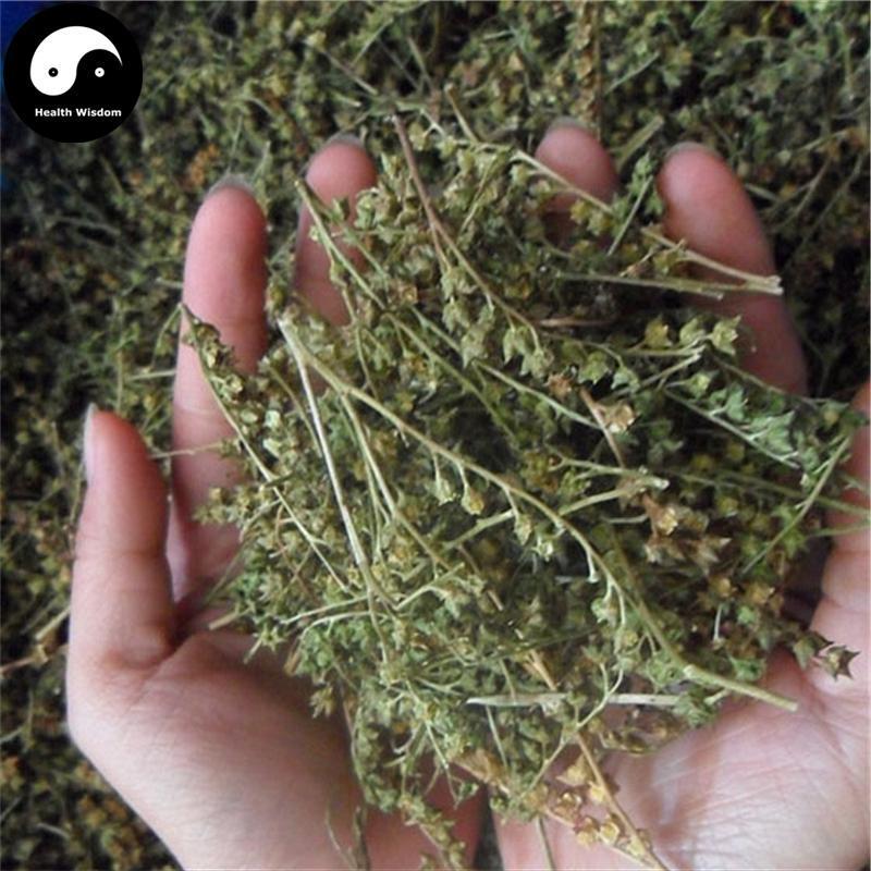 Gan Huang Cao 赶黄草, Penthorum Chinense Pursh Flower, Che Gen Cai-Health Wisdom™