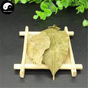 Gan Ju Ye 甘橘葉, Tangerine Leaf-Health Wisdom™