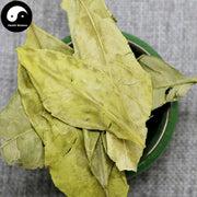 Gan Ju Ye 甘橘葉, Tangerine Leaf-Health Wisdom™