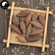 Gan Lan He 橄欖核, Nucleus Olivaris, Qing Guo He-Health Wisdom™