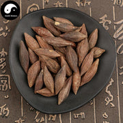 Gan Lan He 橄欖核, Nucleus Olivaris, Qing Guo He-Health Wisdom™