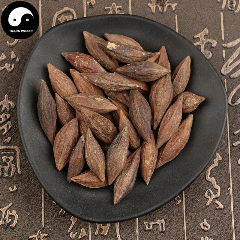Gan Lan He 橄欖核, Nucleus Olivaris, Qing Guo He-Health Wisdom™