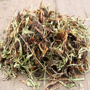 Gan Song 甘松, Nardostachys Jatamansi, Nardostachyos Stems, Xiang Song-Health Wisdom™