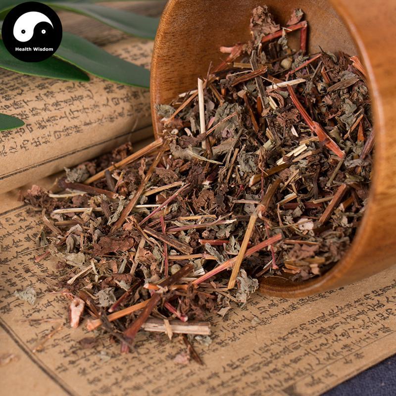 Gang Ban Gui 杠板归, Herba Polygoni Perfoliati, Polygonum Perfoliatum-Health Wisdom™