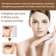 Ganoderma Lucidum Extract Reishi Mushroom Cream High Water Retention Rebuild Recover Repair Skin Care Supply Ling Zhi-Health Wisdom™