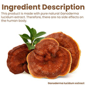 Ganoderma Lucidum Extract Reishi Mushroom Cream High Water Retention Rebuild Recover Repair Skin Care Supply Ling Zhi-Health Wisdom™