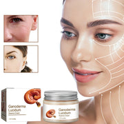 Ganoderma Lucidum Extract Reishi Mushroom Cream High Water Retention Rebuild Recover Repair Skin Care Supply Ling Zhi-Health Wisdom™