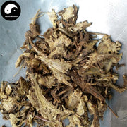 Gao Ben 藁本, Radices Ligustici Sinensis, Rhizoma Ligustici, Chinese Ligusticum Rhizome-Health Wisdom™