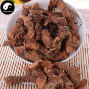 Gao Liang Jiang 高良姜, Rhizoma Alpiniae Officinarum, Lesser Galangal Rhizome-Health Wisdom™