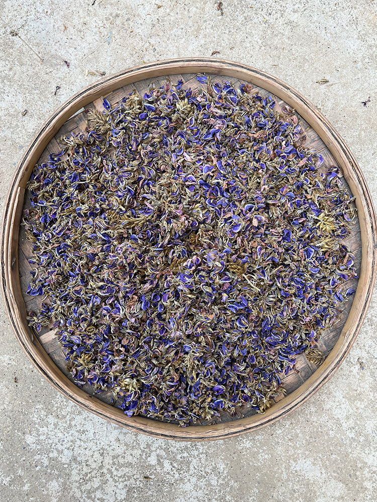 Ge Hua 葛花, Dried Lobed Kudzuvine Flower Tea, FIos Pueraria Lobata, Ge Gen Hua-Health Wisdom™