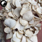 Ge Shan Xiao 隔山消, Bunge Auriculate Root, Radix Cynanchi Auriculati, Bai Shou Wu-Health Wisdom™