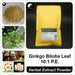 Ginkgo Biloba Extract Powder 10:1, Ginkgo Biloba Leaf P.E., Yin Xing Ye-Health Wisdom™