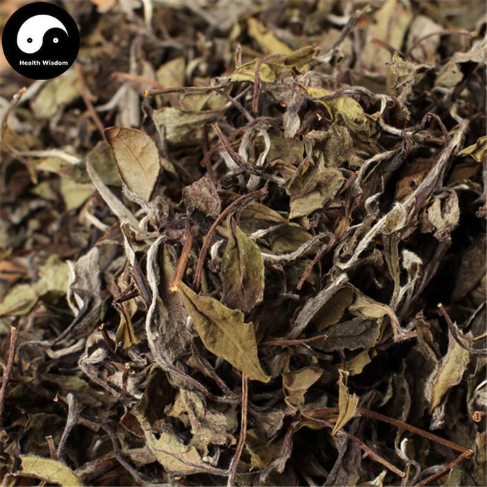 Gone Mei 贡眉 Fuding White Tea Buds White Tea-Health Wisdom™