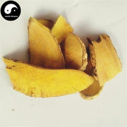 Gong Lao Mu 功劳木, Mahonia Bealei Root, Radix Chinese Mahonia, Huang Teng-Health Wisdom™