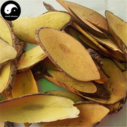 Gong Lao Mu 功劳木, Mahonia Bealei Root, Radix Chinese Mahonia, Huang Teng-Health Wisdom™