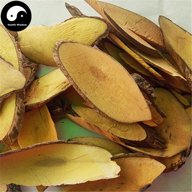 Gong Lao Mu 功劳木, Mahonia Bealei Root, Radix Chinese Mahonia, Huang Teng-Health Wisdom™