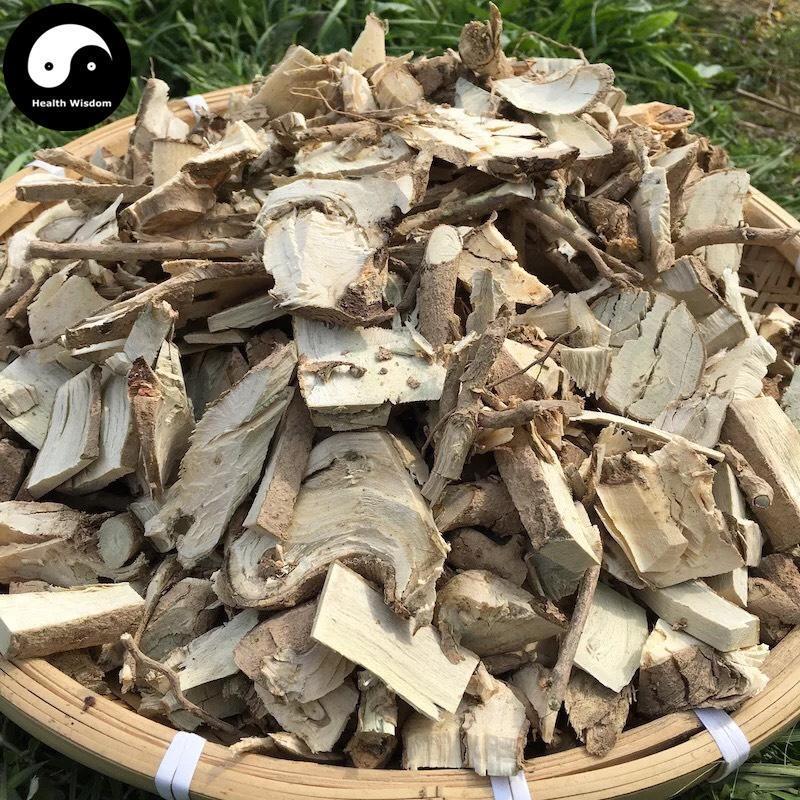 Gou Gu Gen 枸骨根, Radix Ilicis Cornutae, Chinese Holly Root, Gong Lao Gen-Health Wisdom™