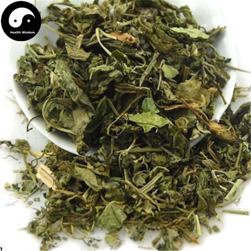Gou Qi Ye 枸杞叶, Goji Leaf, Foliis Medlar, Wolfberry Tree Leaves, Boxthorn leaf, Folium Lycii-Health Wisdom™