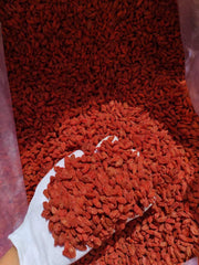 Gou Qi Zi 枸杞子, Fructus Lycii, Wolfberry Fruit, Goji Berries, Goqi-Health Wisdom™