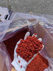 Gou Qi Zi 枸杞子, Fructus Lycii, Wolfberry Fruit, Goji Berries, Goqi-Health Wisdom™