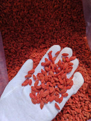 Gou Qi Zi 枸杞子, Fructus Lycii, Wolfberry Fruit, Goji Berries, Goqi-Health Wisdom™