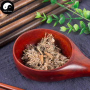 Gou She Tou Cao 狗舌头草, Kirilow Groundsel Herb, Herba Senecionis Kirilowi-Health Wisdom™