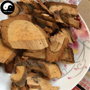 Gou Teng Gen 钩藤根, Uncaria Rhynchophylla Root, Radix Uncaria-Health Wisdom™